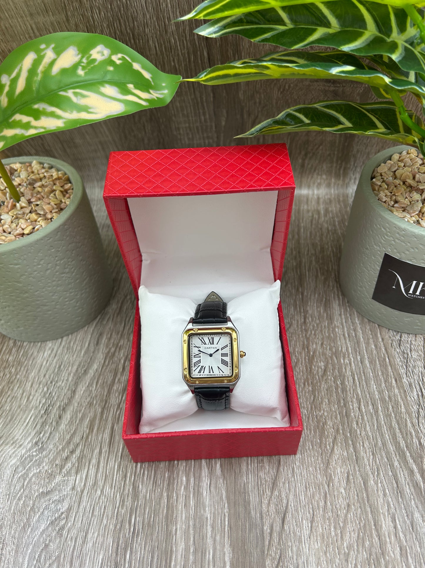 CARTIER SANTOS DUMONT