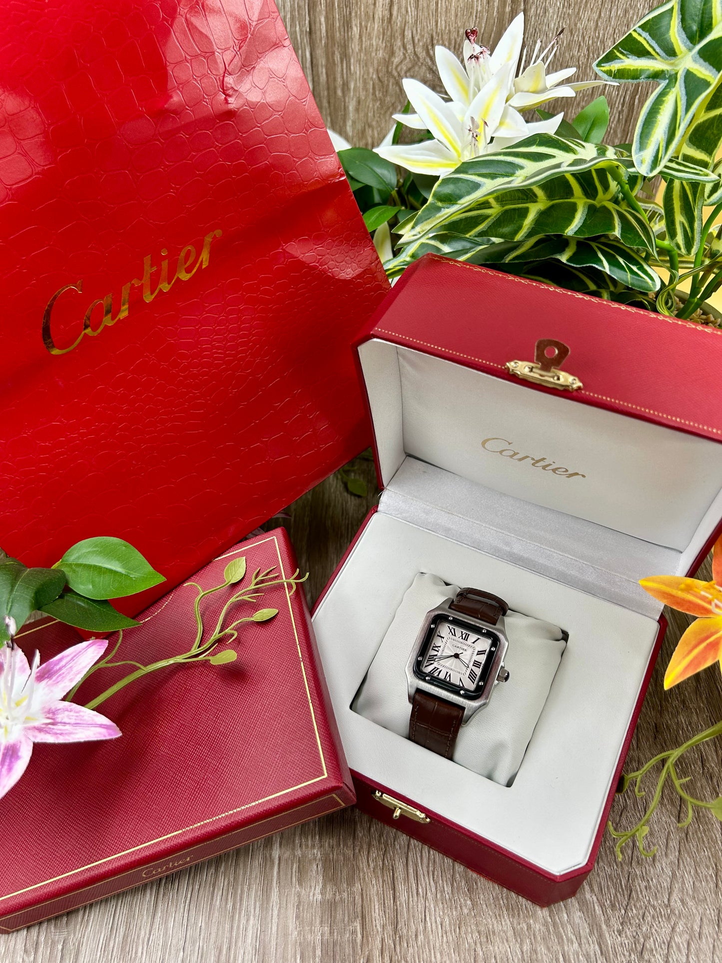 CARTIER SANTOS