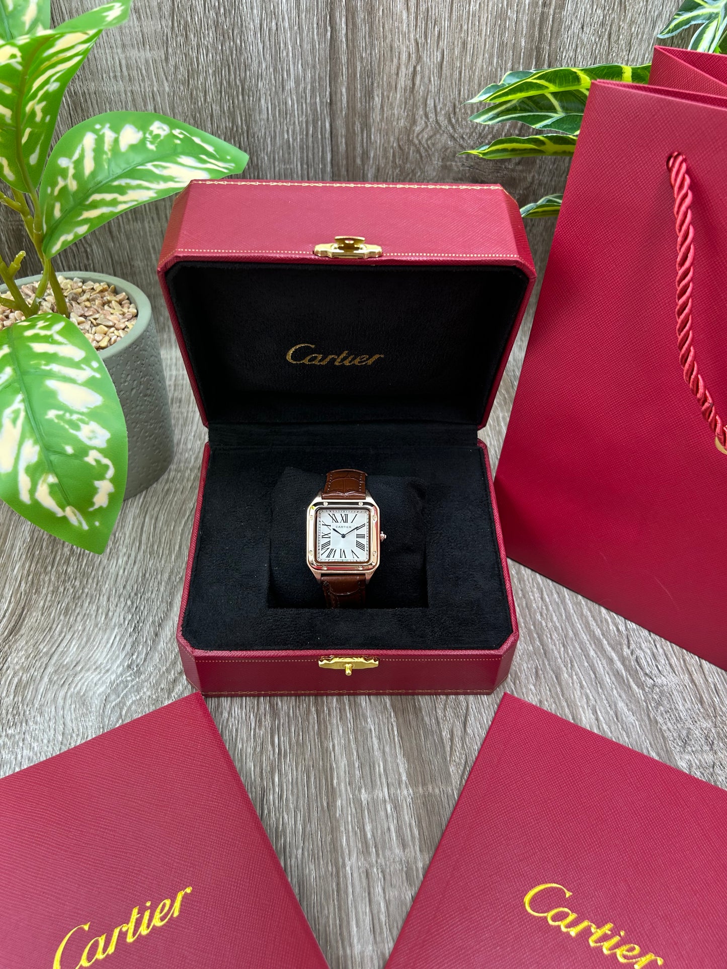 CARTIER SANTOS DUMONT
