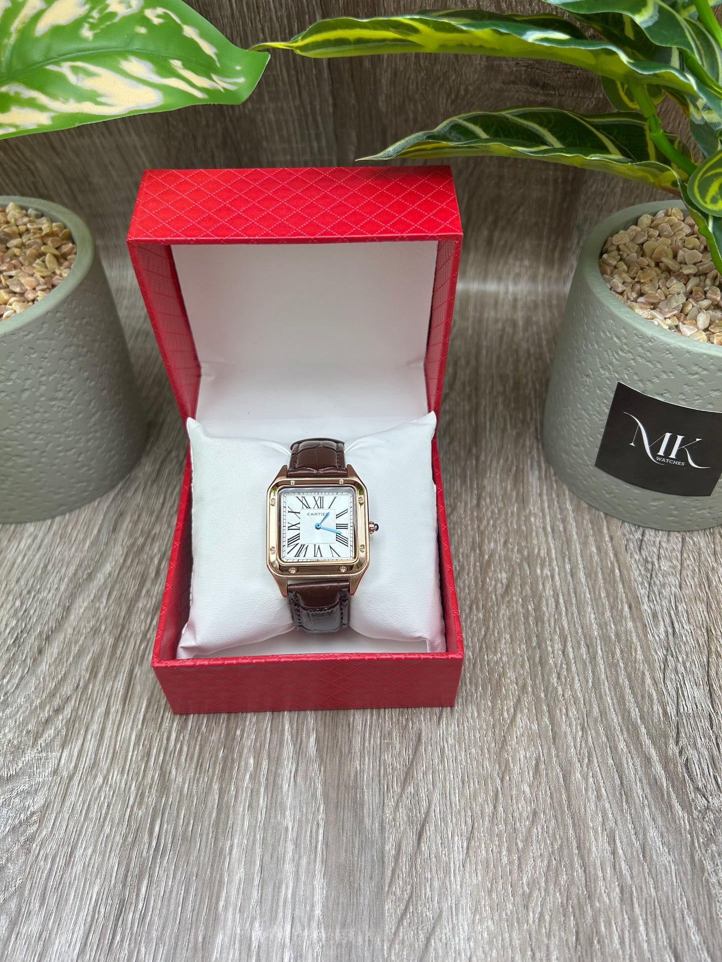 CARTIER SANTOS DUMONT