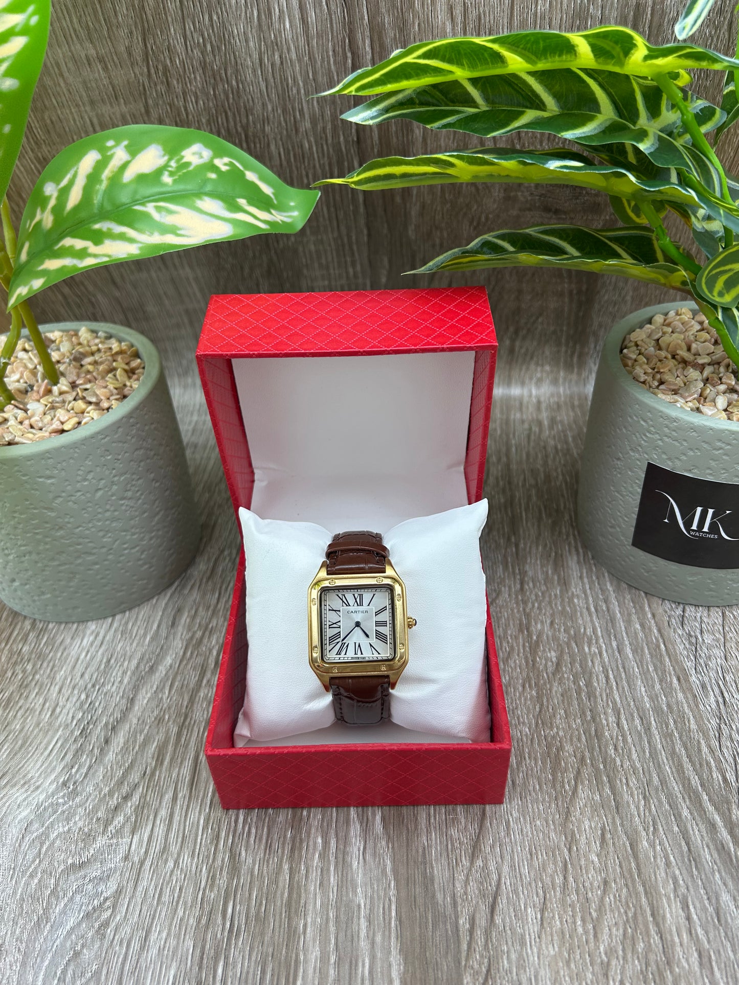 CARTIER SANTOS DUMONT