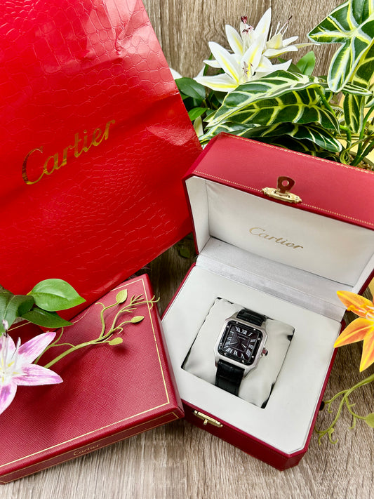 CARTIER SANTOS